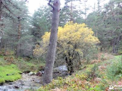 Nacimiento,Azud Acueducto Segovia; las cinco villas donde nace el guadiana campos de lavanda brihueg